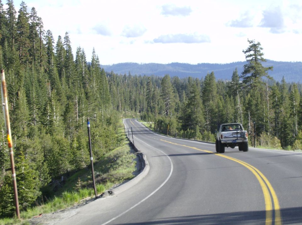 Winding road through a forest with two vehicles visible in the distance