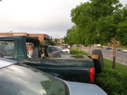 1995 Ford Bronco - So I can use the back seat. Usally for the kids but the dogs count also.
