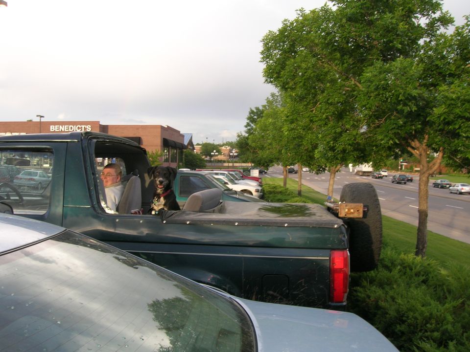 Dark green topless Ford Bronco with a dog standing in the open back, parked outside Benedict's restaurant.