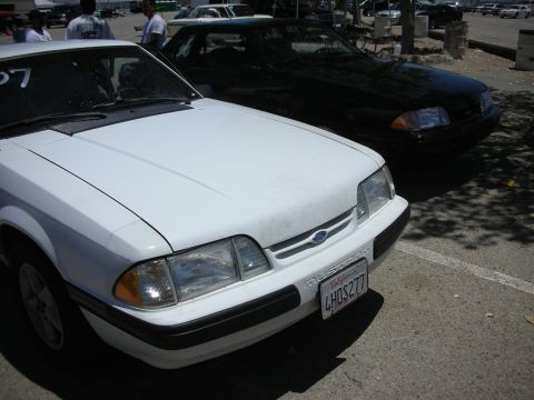 1992 Ford Crown Victoria - Two Ford Mustangs, one white and one black, parked side-by-side. The white Mustang is in the foreground, showing its front end.