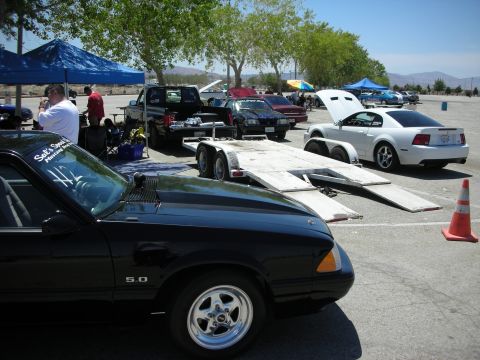 1992 Ford Crown Victoria - A black 1992 Ford Mustang 5.0 is parked at a race track with other vehicles and trailers.