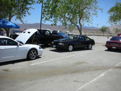 1992 Ford Crown Victoria - Multiple vehicles are parked in an outdoor lot on a sunny day.