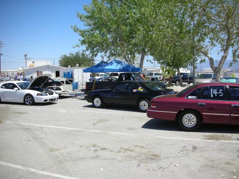 1992 Ford Crown Victoria - Cars are gathered at what appears to be a drag strip event, with a white Mustang and a black coupe visible.