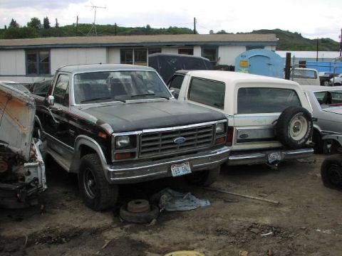 1981 Ford Bronco - A black Ford pickup truck and a white Ford Bronco are parked in a junkyard, with other vehicles visible in the background.