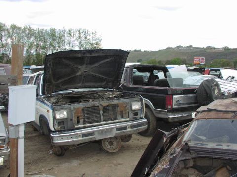1981 Ford Bronco - Multiple vehicles in a junkyard, including a Bronco with its hood open.