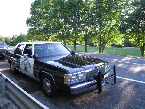 1991 Ford LTD Crown Victoria - black-and-white police cruiser with a gold star door emblem and push bar sits in a shaded parking lot beside a grassy field.