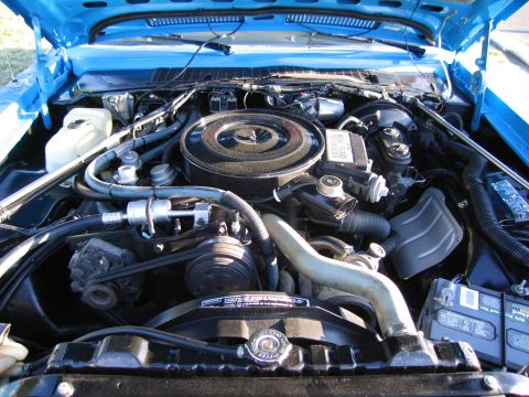 1991 Ford LTD Crown Victoria - detailed view of an engine bay showing the round air cleaner, alternator, drive belts, radiator hose and battery under a blue hood.