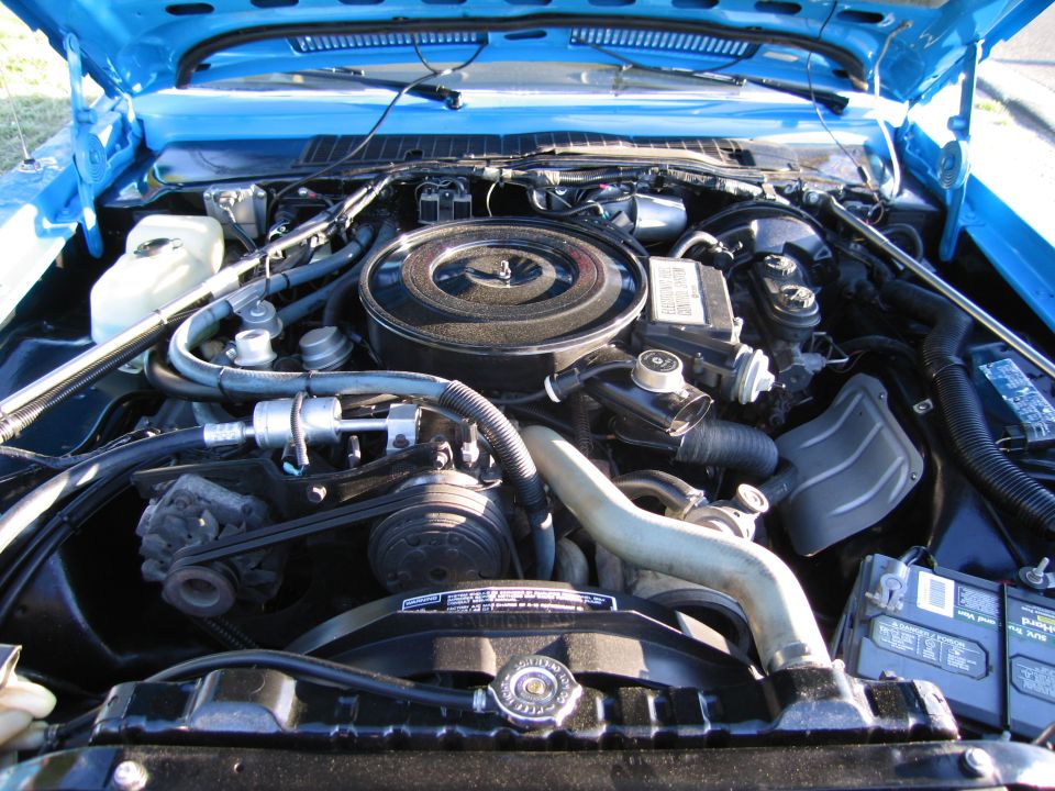 Engine bay of a vehicle with air cleaner, alternator, belts, hoses and a battery