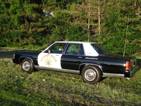 1991 Ford LTD Crown Victoria - black-and-white Highway Patrol sedan with a star emblem and whip antenna parked side-on in a grassy field.