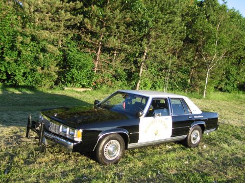 1991 Ford LTD Crown Victoria - Rear three-quarter view of a black-and-white Highway Patrol sedan with push bar parked in a grassy clearing.