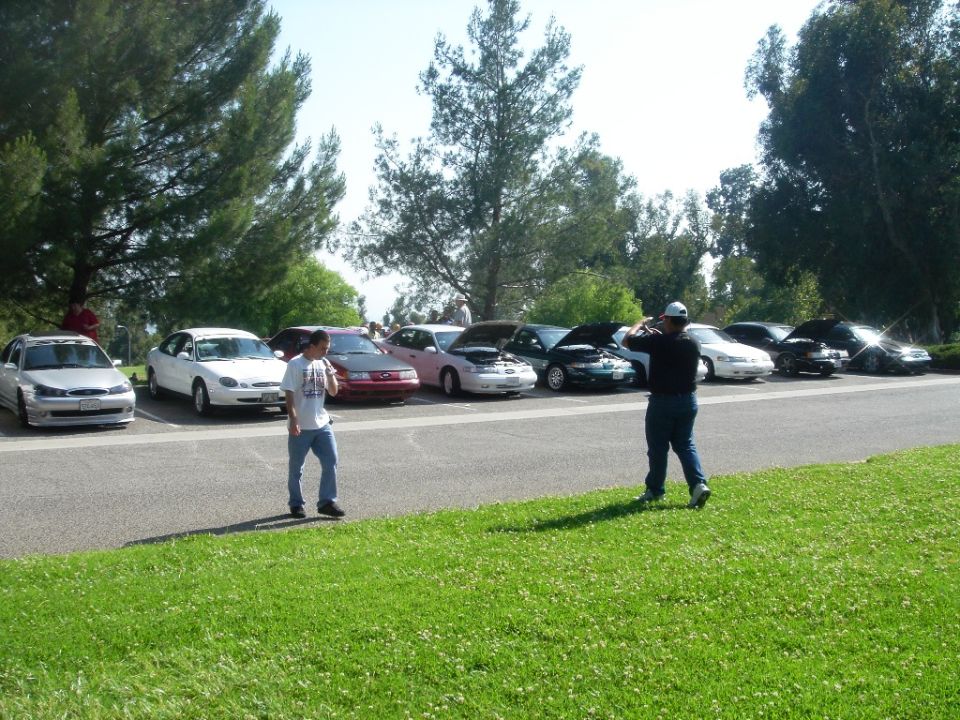 Row of 1990s Taurus sedans with hoods up at a park car meet, two men standing nearby