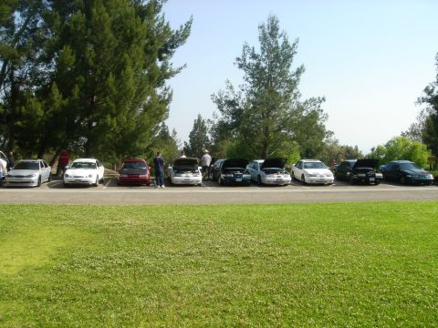 1991 Ford Taurus - A group of cars are parked in a lot, with some hoods open, under a clear sky.