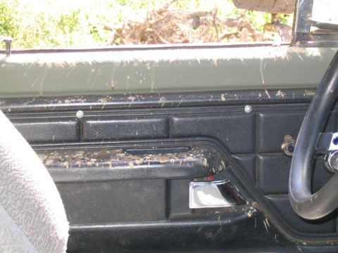 1979 Ford Bronco - Interior shot of a truck's driver door panel splattered with wet mud thrown in through the open window opening, showing the black molded pa…