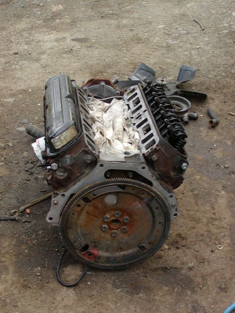 1982 Ford Bronco - new 302 h.o. police intercepter without accessories.