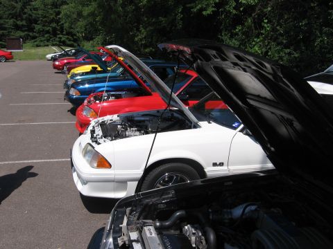1989 Ford Mustang - Multiple Ford Mustangs from the late 1980s and early 1990s are lined up with their hoods open.