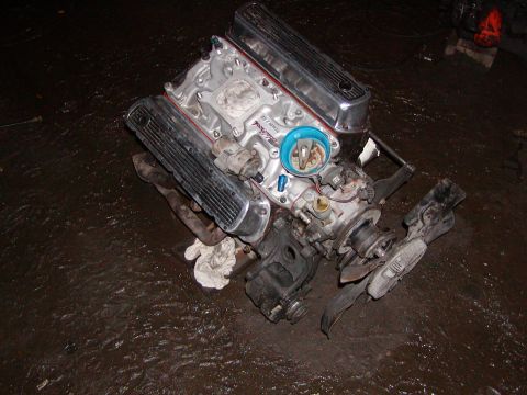 1982 Ford Bronco photo
