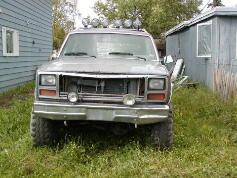 1982 Ford Bronco photo