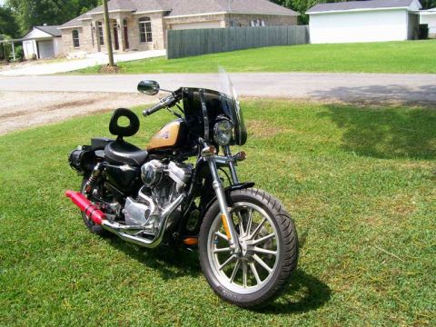 2005 Harley-Davidson Sportster photo