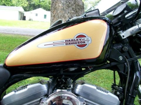 2005 Harley-Davidson Sportster photo