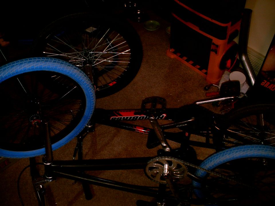 BMX bicycle with blue tires and black frame
