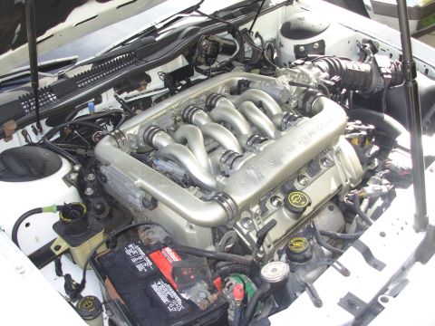 1995 Ford Taurus - The engine bay of a 1995 Ford Taurus SHO reveals the 3.2L V8 engine, complete with its unique intake runners and a visible battery.