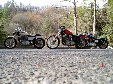 1995 Mercury Grand Marquis - Three Harley-Davidson motorcycles are parked in a row on the side of a road, with a scenic wooded hillside in the background.