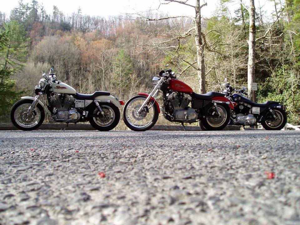 Three Harley-Davidson motorcycles parked side-by-side on a road with a wooded hillside