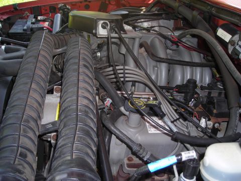 1995 Ford Bronco photo