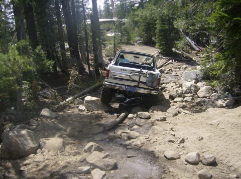 1986 Ford Bronco - This SUV is tackling a challenging off-road path through a dense forest with many rocks and fallen trees.