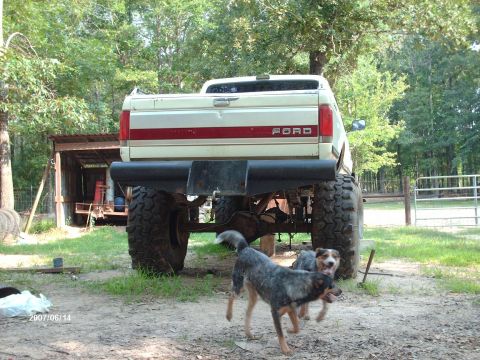 1990 Ford F-150 - The rear of a lifted, white Ford pickup truck with a red stripe is shown. Two dogs are in the foreground, with a rustic shed and trees in t…