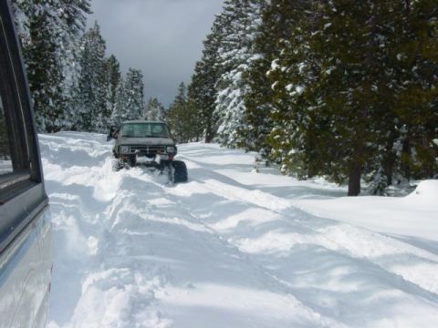 1986 Ford Bronco - A gray Ford Bronco navigates a snow-covered road surrounded by pine trees.