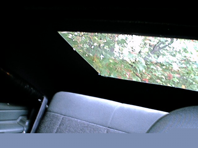 Interior view of open roof opening showing trees, with gray seat below