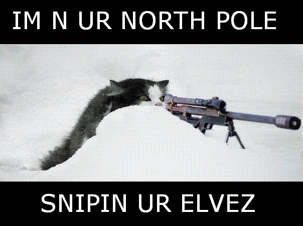 Lolcat meme of cat aiming a sniper rifle in snow with caption text