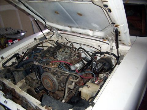 1978 Ford Mustang II - Here is the kit installed on my Snake, it works great the new struts aren't in the way like the old prop was.
