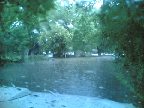 2001 Ford Fiesta - The road is flooded, with trees lining the sides and rain falling.