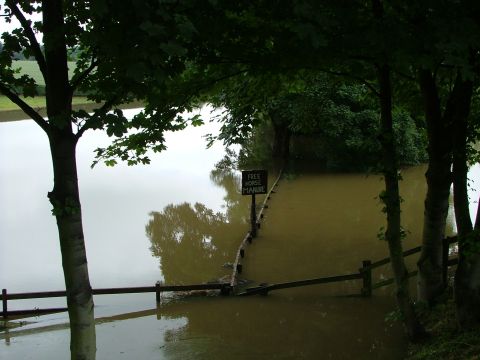 2001 Ford Fiesta - A flooded area with trees and a sign indicating free horse manure, suggesting a rural or agricultural setting impacted by high water.