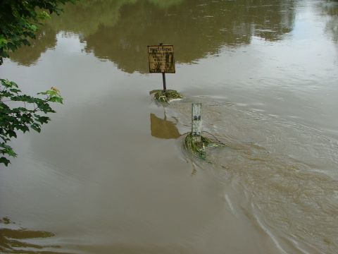 2001 Ford Fiesta - Flooded river scene with a sign and water level marker.