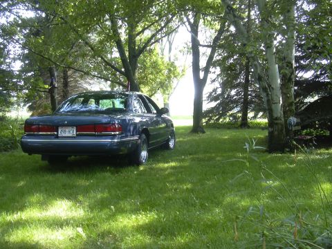 1996 Ford Crown Victoria - A dark blue sedan is parked on a grassy lawn surrounded by trees.