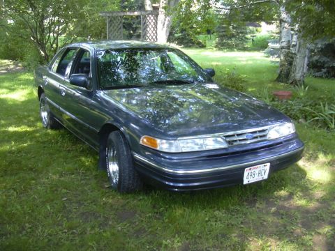 1996 Ford Crown Victoria - 1996 Ford Crown Victoria in a grassy yard. The car has a dark blue finish and chrome wheels.