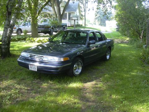 1996 Ford Crown Victoria - A dark sedan is parked in a grassy area next to a driveway, with trees and a house visible.
