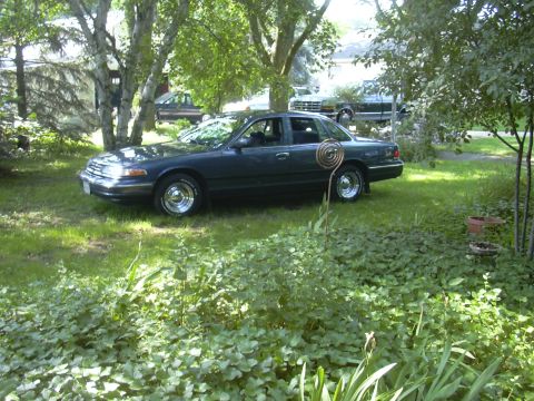 1996 Ford Crown Victoria - A dark sedan sits in a yard, partially obscured by trees and foliage. Another vehicle is parked behind it.