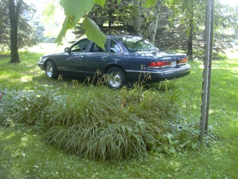 1996 Ford Crown Victoria - A dark blue sedan sits in a yard, partially obscured by foliage.
