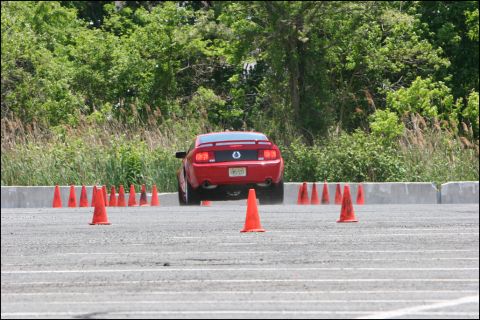 2001 Mercury Grand Marquis - Red Ford Mustang driving through an autocross course with numerous orange cones.