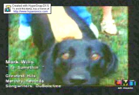 1991 Ford LTD Crown Victoria - A dog is the main focus of this scene, with text indicating Mark Wills and Mercury Records.