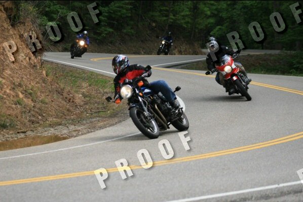 Several motorcycles riding on a curved road through a wooded area