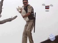 1991 Ford Bronco - A police officer is holding a white cat in his arms.