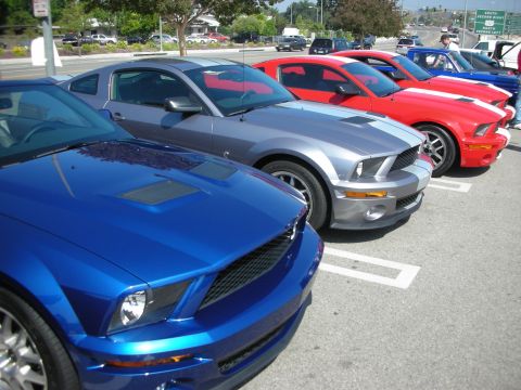 1998 Ford Crown Victoria - Several Ford Mustangs are lined up in parking spaces on a sunny day.