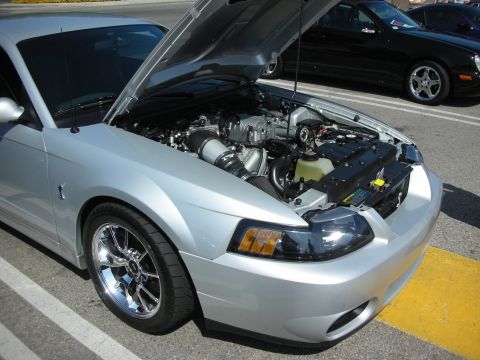 1998 Ford Crown Victoria - Silver Ford Mustang with hood open, displaying its supercharged engine. A black car is visible in the background.