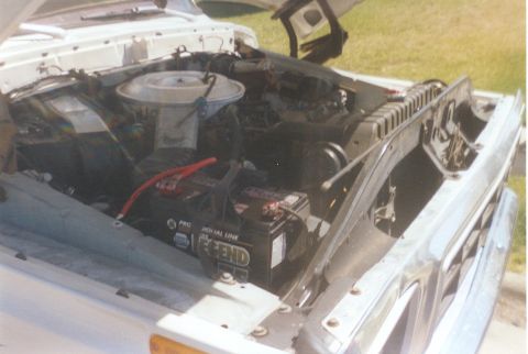 1979 Ford Bronco - old 351