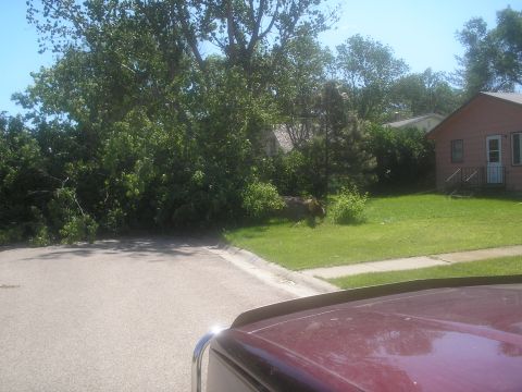1951 Chevrolet C/K Pickup “1.5 ton truck”